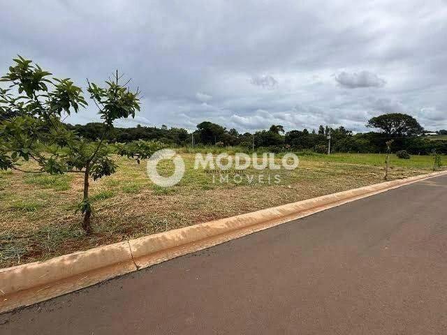 Sítio e chácara venda em Miraporanga, Uberlândia