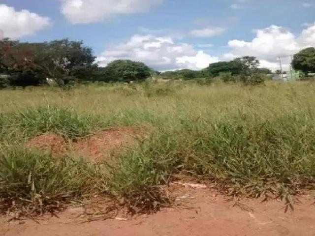 Sítio e chácara venda em Região Geográfica Imediata de Uberlândia, Oliveira Fortes
