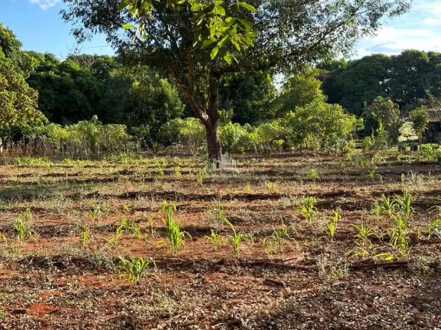 Sítio e chácara venda em Região Geográfica Imediata de Uberlândia, Oliveira Fortes