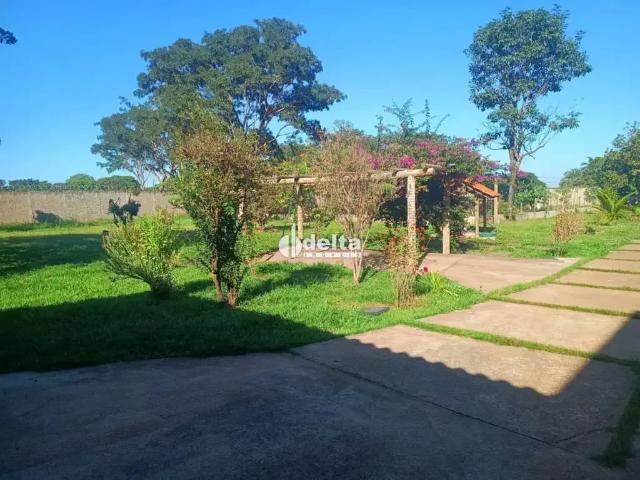 Sítio e chácara venda em Região Geográfica Imediata de Uberlândia, Oliveira Fortes