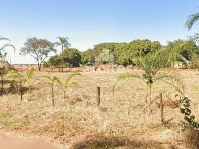 Sítio e chácara venda em João Pinheiro