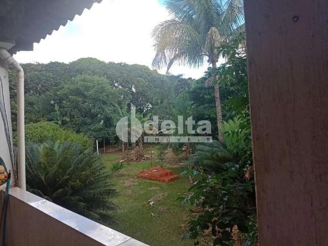 Sítio e chácara venda em Região Geográfica Imediata de Uberlândia, Oliveira Fortes