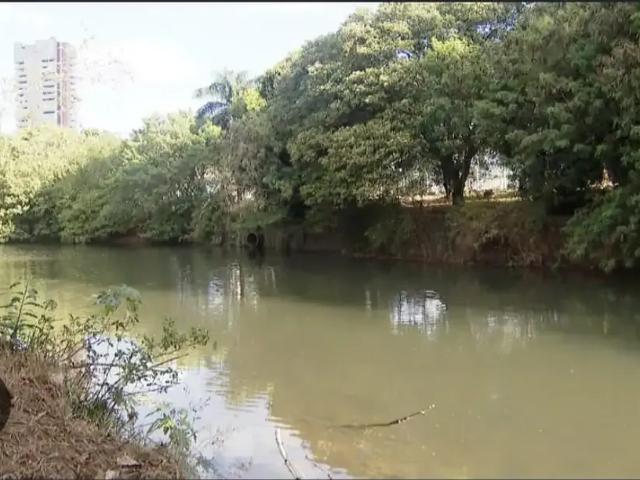 Sítio e chácara venda em Região Geográfica Imediata de Uberlândia, Oliveira Fortes