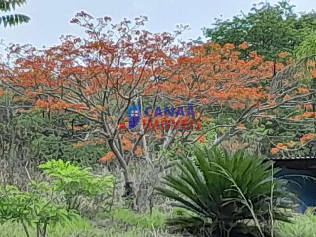 Sítio e chácara venda em Região Geográfica Imediata de Uberlândia, Oliveira Fortes