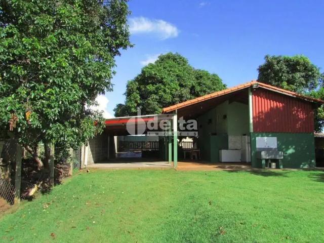 Sítio e chácara venda em Região Geográfica Imediata de Uberlândia, Oliveira Fortes