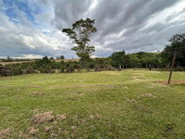 Sítio e chácara venda em Região Imediata de São José do Rio Preto, Região Metropolitana de São José do Rio Preto