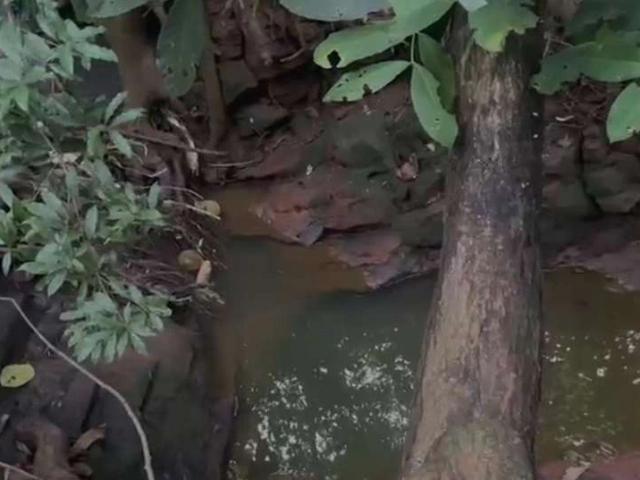 Sítio e chácara venda em Umuarama, Região Geográfica Intermediária de Maringá