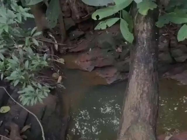Sítio e chácara venda em Região Geográfica Imediata de Umuarama, Região Metropolitana de Umuarama