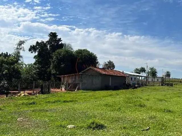 Sítio e chácara venda em Região Geográfica Imediata de Umuarama, Região Metropolitana de Umuarama