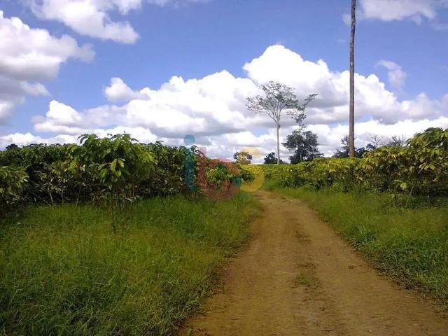 Sítio e chácara venda em Região Geográfica Imediata de Camacan, Una