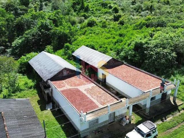Sítio e chácara venda em Região Geográfica Imediata de Camacan, Una