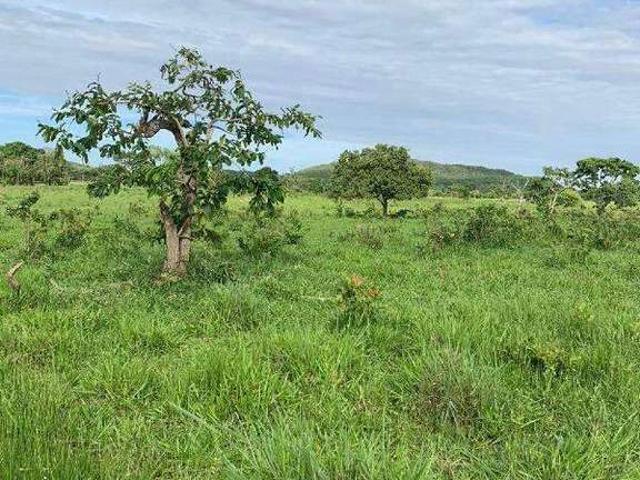 Sítio e chácara venda em Unaí