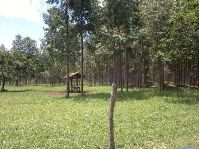 Sítio e chácara venda em Região Geográfica Imediata de Unaí, Região Integrada de Desenvolvimento do Distrito Federal e Entorno