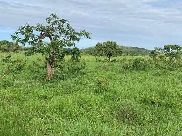 Sítio e chácara venda em Região Geográfica Imediata de Unaí, Região Integrada de Desenvolvimento do Distrito Federal e Entorno