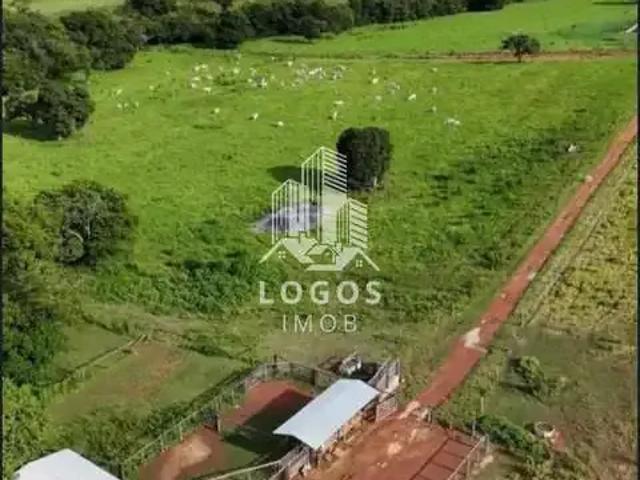 Sítio e chácara venda em Região Geográfica Imediata de Unaí, Região Integrada de Desenvolvimento do Distrito Federal e Entorno