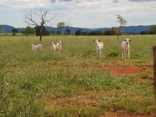Sítio e chácara venda em Itajubá