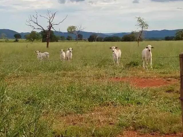 Sítio e chácara venda em Região Geográfica Imediata de Itajubá, Itajubá