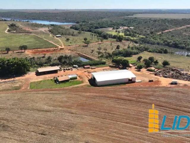 Sítio e chácara venda em Região Geográfica Imediata de Unaí, Região Integrada de Desenvolvimento do Distrito Federal e Entorno