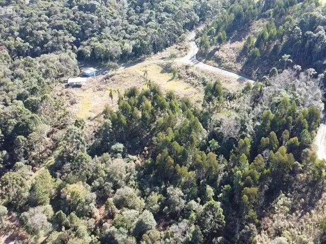 Sítio e chácara venda em Região Geográfica Imediata de União da Vitória, União da Vitória