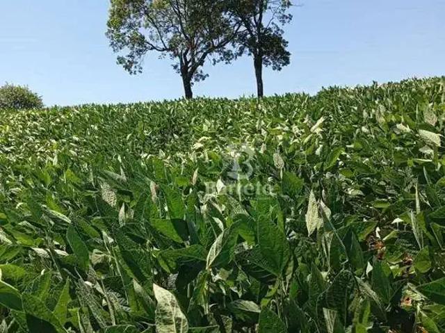 Sítio e chácara venda em Região Geográfica Imediata de Curitiba, Região Metropolitana de Curitiba