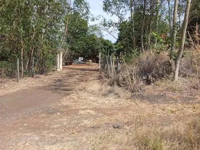 Sítio e chácara venda em Região Geográfica Imediata de Cornélio Procópio-Bandeirantes, Uraí