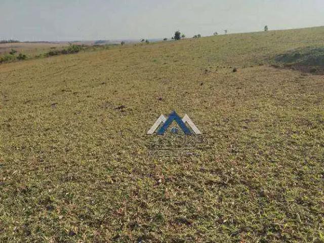Sítio e chácara venda em Região Geográfica Imediata de Londrina, Londrina