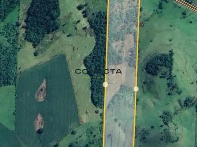 Sítio e chácara venda em Região Geográfica Imediata de Cornélio Procópio-Bandeirantes, Uraí