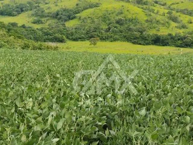 Sítio e chácara venda em Região Geográfica Imediata de Cornélio Procópio-Bandeirantes, Uraí