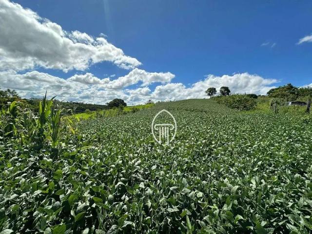 Sítio e chácara venda em Região Geográfica Imediata de Cornélio Procópio-Bandeirantes, Uraí