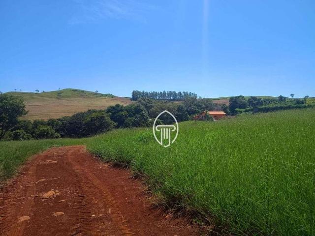Sitio venda em Uraí