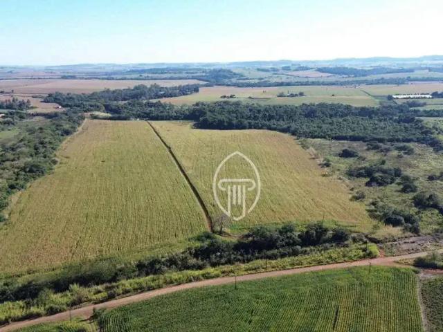 Sítio e chácara venda em Região Geográfica Imediata de Cornélio Procópio-Bandeirantes, Uraí