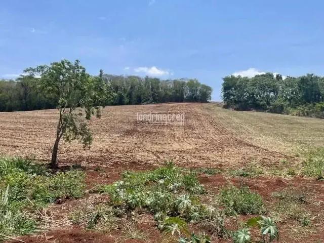 Sítio e chácara venda em Região Geográfica Imediata de Cornélio Procópio-Bandeirantes, Uraí