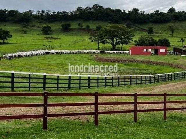 Sitio venda em Uraí, Residencial Novo Horizonte