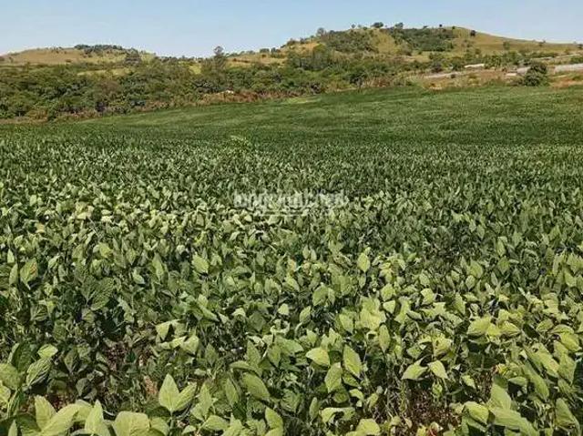 Sítio e chácara venda em Região Geográfica Imediata de Cornélio Procópio-Bandeirantes, Uraí