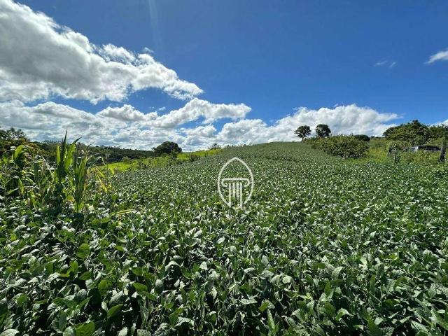 Sitio venda em Uraí, Cruzeiro do Norte