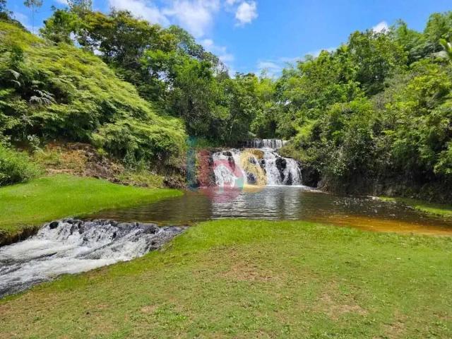 Sítio e chácara venda em Região Geográfica Imediata de Ilhéus – Itabuna, Uruçuca