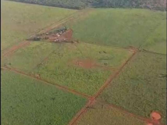 Sítio e chácara venda em São Félix do Xingu