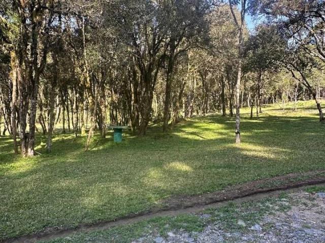 Sítio e chácara venda em Urubici, Região Geográfica Intermediária de Lages