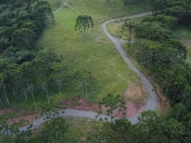 Sítio e chácara venda em Região Geográfica Imediata de Blumenau, Blumenau