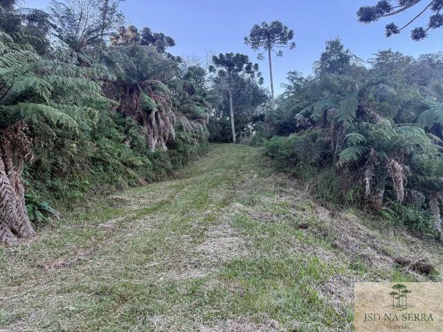 Sítio e chácara venda em Região Geográfica Imediata de Lages, Urubici