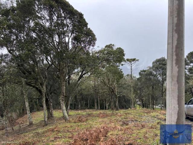 Sítio e chácara venda em Urubici, Região Geográfica Intermediária de Lages