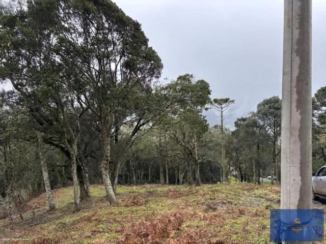 Sítio e chácara venda em Região Geográfica Imediata de Lages, Urubici