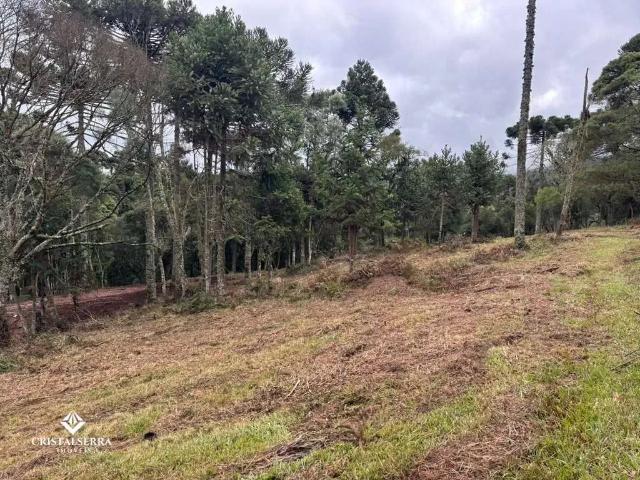 Sítio e chácara venda em Região Geográfica Imediata de Rio do Sul, Santa Terezinha
