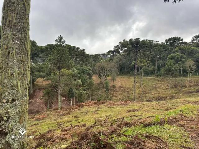Sítio e chácara venda em Região Geográfica Imediata de Rio do Sul, Santa Terezinha