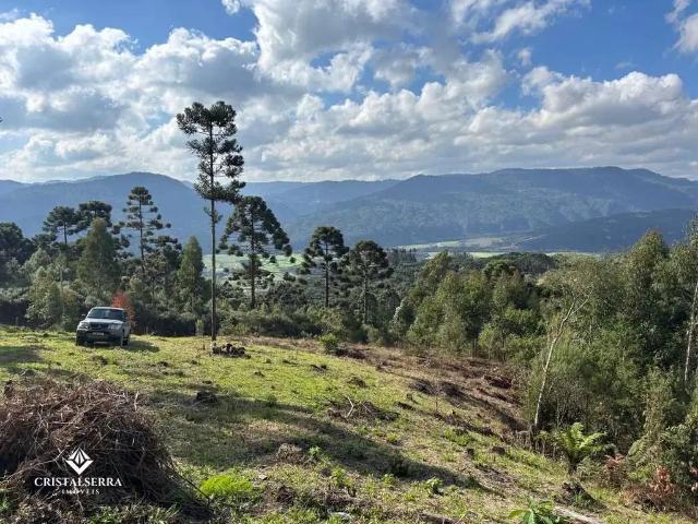 Sítio e chácara venda em Região Geográfica Imediata de Bento Gonçalves, Santa Tereza