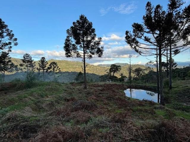 Sítio e chácara venda em Urubici, Região Geográfica Intermediária de Lages
