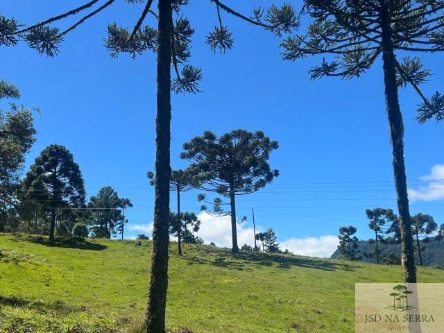 Sítio e chácara venda em Urubici, Região Geográfica Intermediária de Lages