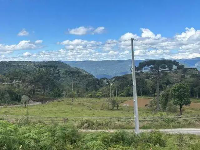 Sítio e chácara venda em Região Geográfica Imediata de Videira, Fraiburgo