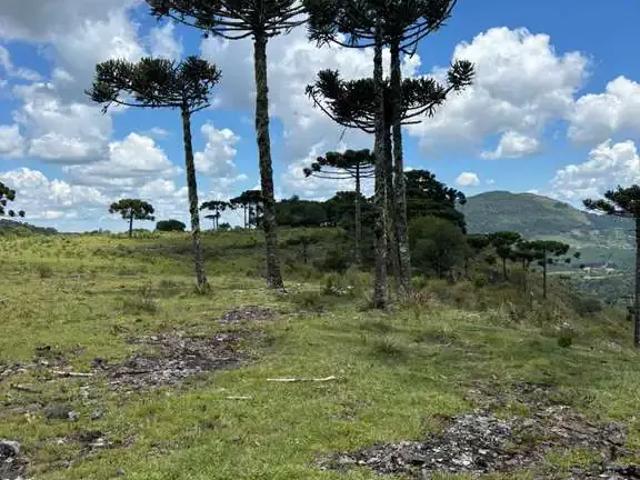 Sítio e chácara venda em Região Geográfica Imediata de Lages, Urubici