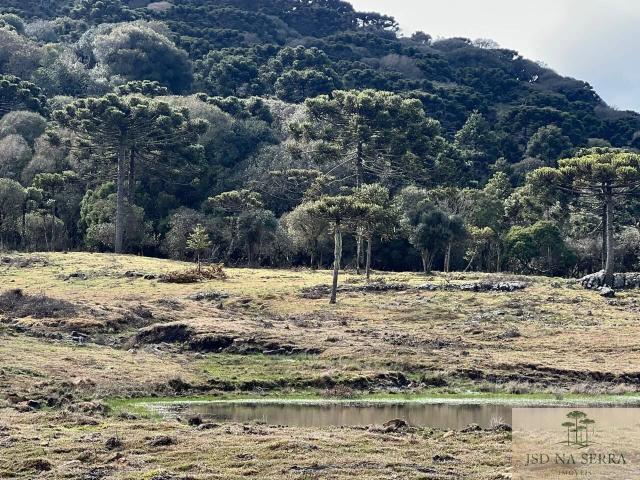 Sítio e chácara venda em Urubici, Região Geográfica Intermediária de Lages